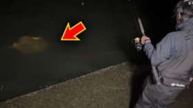 �u�|���I�|���I�v�u����A�������v�h���ꂽ�疽�̊댯���B�Őj�����g�g�߂ȓŋ��h��ނ��ĐH�ׂĂ݂���c�B�C�ɂȂ閡�͂܂����́H �u�s�v�c�ȊÂ݂��c�v