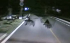 �N�}�Փˎ��́A�O�N��5�{�@�H�c�A�N�ԍő�118����