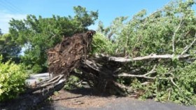 �˕���Q�� ����4�{���������|��� �������ӏ�񂪏o���{�Ó��Ŕ�Q2���m�F