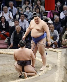 ���j��̗��Ɉ�錧���h�_�܁@���������n�A5��D���Ə��i�]��