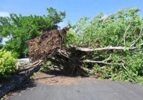 ����E�擇�ŗ�����˕���Q�@�䕗26����O���e���Ł@�C�ۑ�A������˕��Ɍx��