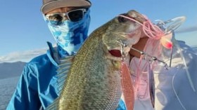 �u���̃��A�[�A�r�M�i�[�ł��ނ�܂��B�㋉�҂��g����������{�R�{�R�i�΁j�v�B���̃o�C�g���̑����ɒN���������Ƌ����͂��B�S���Ō��ނ�̃A�C�e���Ƃ́H