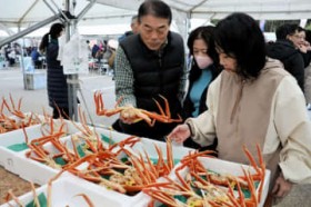 �z�O���ɂ�X�����i���2?3�������c���䌧�Łu�O�������ɍՂ�v11��16���܂Ł@�Z�C�R1�t���������ɏ`���̔�