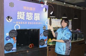 �[�Ԃ��鋛�A����ׂā@�y�A�œ��������Ɂ@�ɐ��V�[�p���_�C�X���W