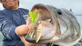 �~�Ɍ����ăE�B�[�h���͂�Ă���A���ꂪ�Ӗ����邱�ƂƂ́H ���[���ł������ł����ނꒆ�I �r�M�i�[���ނ���o����Ȃ獡�ł�