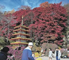 ��������{���s�̋e�l�`18���@���@�g�t�Ƃ��ł₩������