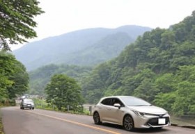 �z���C�g���[�h�A���N�x���p1�����@�g�t���̈��V�󋿂�����