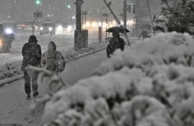 �������Ő�i�F�@3�s�Ɍx��@�X�A�O�O�Őϐ�12cm