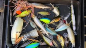 �e�[�}�́u�^�C�j�[�N�����N�ƃo�C�u���[�V�����v�B�N�ԗD���ڑO�̗���Ă��񂪃v���N�e�B�X�Ŋ������艞���́H