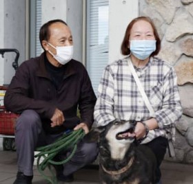 �啪�΍ЁA������1�����Ԃ�ĉ�@����̎���t�߂Ŕ���