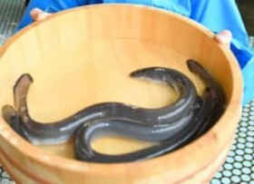 ���ێ���̋K���ΏۂŃE�i�M�������Ȃ�?�@���������m���͋K�����΂𑼍��ɓ�������