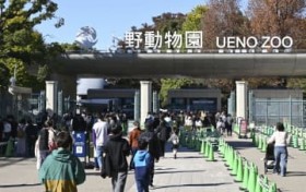 �p���_�A���{�ŉ�Ȃ��Ȃ�H�@�����Ƃ̊֌W�����ŕs���̐�