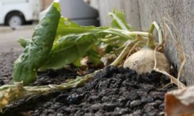 �h�����卪�͂Ȃ������ꂽ�H�R���r�j���ԏ�ł̏����ȏo������...SNS����̐��m�h���@