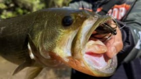 �u�A�x���[�W�T�C�Y���l�A�T�C�Y��������܂��v���̏H�ɒމʂ�񑩂��Ă���钴�Ր΂ȃ��A�[�Ƃ́H���x���o�C�u�Ƃ̃��[�e�ł�苭�̓p�^�[����