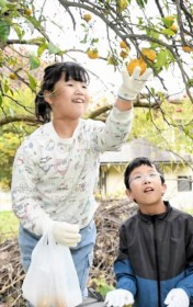 ���Y�̎��n�e�q�Œ���@�����s�u�M�v�R�A�h�x���`���[�v�@���Y�i�ʂ��A�n��ւ̊֐S���߂�