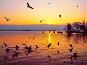 �l��Ȃ�?�C�Œ���310����m�F�A�ߋ��ō����X�V�\����