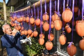 �Â���?��@�邵�`�A��F�ɐF�Â��@�o���s