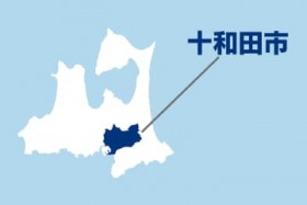 �X���\�a�c�s�����ېŉߑ咥���@56����195���~�@2019?25�N�x