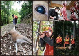 �֐��ʐ^�L�ҋ���܁@�{���L�҂���敔����܎�܁@�g�ݎʐ^�u������?���k�̃W�r�G?�v