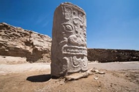 ��������Ï�ՁE��?��Ղ̍ŐVDNA�����A��j�Љ�̍\���ƌn������