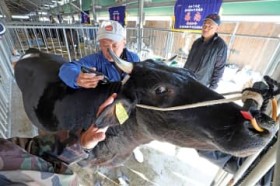 �p�ƂЂÂ߂͂΂����ŋP�����c�g���߂����h��?�����@�_��Œ��茧�a�����i��