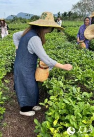 �y������G��?�C���4?�z�C��ȂŒ��E�ݑ̌��I