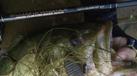 �y�o��?�o�ĂȂ�?�z����������? �f�v�X�̍ŐV���b�h6�@��