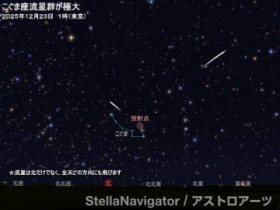 �����܍������Q�c2025�N�̌�������?�@�s�[�N������҂ł��闬�ꐯ�̐���