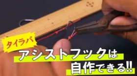 ����Œނꂽ�炤�ꂵ�����{��? �^�C���o�̃A�V�X�g�t�b�N�̍���