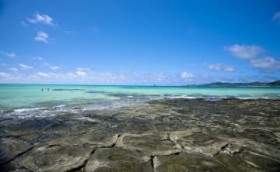 [�v�ē��� �ό��E���Y�ƌ|�\�t�F�A]�v�ē��̌b�݂��ꓰ�� �ӂ邳�ƌ��C������� ����12��12������3���ԁA�^�C���X�r��