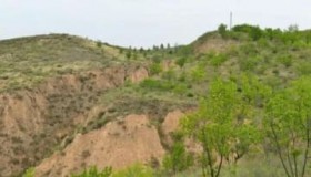 ������2000�N�ȏ�O�̐��E�ŌẤu�������H��Ձv��13�L���𔭌�