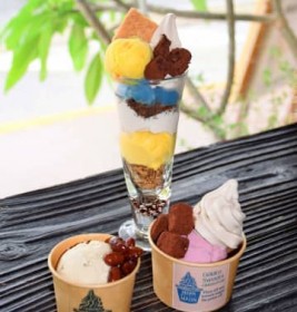 �}���S�[�ȂǏ{�̃t���[�c�ӂ񂾂�� �̂ɗD�����ʕ��W�F���[�g ����E�X��p�s�uMAON VEGAN FACTORY�v