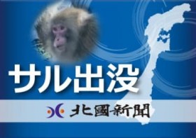 ���R�ŃT���ڌ���񑱁X�@���C�C�l����⓿��PA�@����ŏo�v�����T���Ɠ��ꂩ