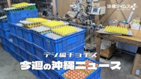 �l�C�́u���������v���U���̔��@����̃u�����h��Ƃɉ����y12��6��?12�� �^�C���X�{�v���X����z