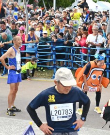 [����days]�S�[���ڑO�Ŗ���́c �ߔe�s