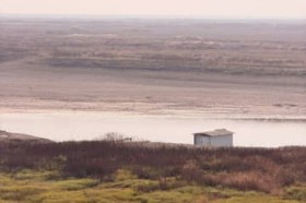 �����ő�̒W���΁A?�z�΂��ɒ[�Ȋ����ʂ������\�������f�B�A