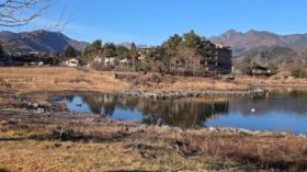 �u���オ���Ă��܂������c�v�o�X�͉z�~�ł���̂��H���J�T�M�̐������x���c�B�������A�[�͑傫�߂�OK�I