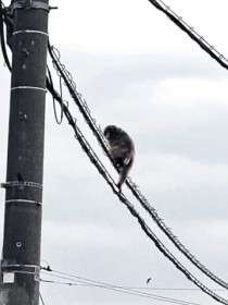 �T���A�󂩂�ǂ��@�ڌ��{���̗��R���A���N1?2���Ƀh���[���Ő�������