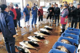 �\�o���u���ǂ��ցH�@���l�ᒲ�@�O�N������A����15���A�F�o��70���@���������A���[�g�ω���