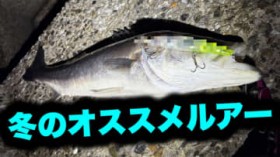 �u�~�ɒނ肽���Ȃ�g�R�������āh�v���ꂩ��̎����ɃI�X�X�����������A�[3�I�B�u�f�J���̂��_���܂��v