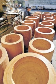 ���݂��A���Ă܂����H�@�P�̏o�ׂ��s�[�N�@�����n�Ƃ̎R�萻�쏊�i�Q�n�E�����s�j