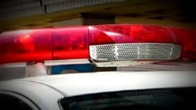 ���𗍂݂̐l�g���́A����͑S�����[�X�g�@1?10���͑S�̂�2.49���@�Y�N��V�[�Y���Ŏ����܂苭��