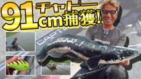 �y������΁z���ȋL�^�X�V�Ȃ邩?���c�w���p�b�N���b�h�ŉ����ɒ���!!�y���_���b�h�L���v�`���[���劈��I�z