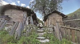 �u���̎q�܂������́H�v�p���_�Ƌ��ɕ�炷蟐��Ȃ̏����ȑ��\����