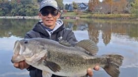 �j�W�}�X������̋T�R�΂̏󋵂́H�j�W�}�X�򂢂Ȃ��͂肱�̃��A�[���I�X�X���I�y���ʂ���I �I���L�����΂���z