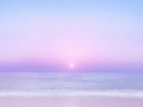 2025�N12���`2026�N1��5���܂ł̉^���u�l�������v1�����܂�(1��5�����܂�`2��3�����܂�)�̂��Ȃ��̉^�C��?