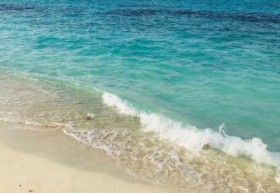 ����E���[���̃r�[�`�ɐg���s���̈�́@60?70��̏������@���x����񋁂߂�y����G�z