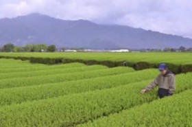 �����ƌ����ΐÉ��H�@�������ł��\�\2024�N�u�Y�o�z�v��5�N�Ԃ�g�b�v�A�u�r�����Y�ʁv�ɑ��������Ƃ��ɓ��{��