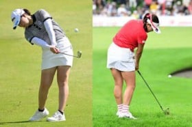 �t�F�[�h�q�b�^�[�|�c�퉛�Ɖ͖{�����D��Ŏg����S�A�C�A���̓����Ƃ́H