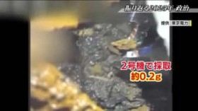 2025�N�̕������j���[�X�ŐU��Ԃ�y�����ҁz�@�I���C���[�̈�N�@�R���f�u��2��ڂ̉���⏜���y�̍ė��p�A�Œ�������グ��